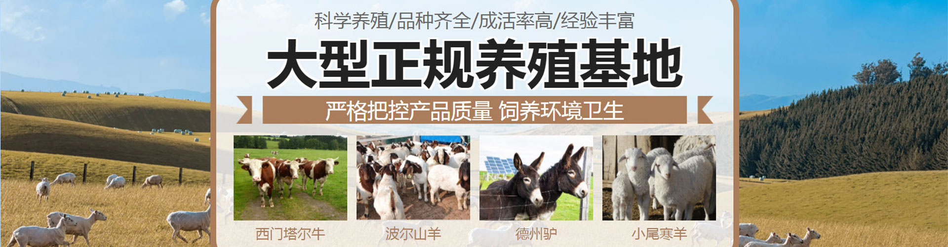 万民养殖场